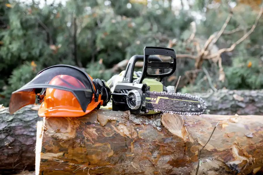 The Role of Tree Cutting Service in Promoting Healthy Growth in Pasco, WA The Role of Tree Cutting Service in Promoting Healthy Growth in Pasco, WA